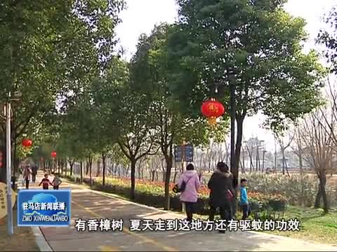 創(chuàng)建國家森林城市讓市民享受綠色生活