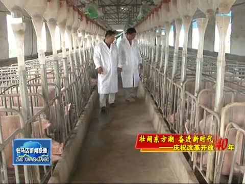 中国农加工洽谈会促进驻马店跨越发展
