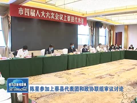 陈星参加上蔡县代表团和政协联组审议讨论