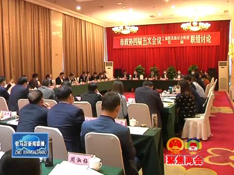 朱是西参加平舆县代表团和政协联组审议讨论