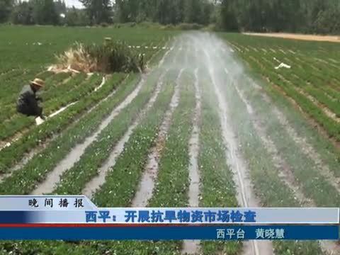 西平：开展抗旱物资市场检查