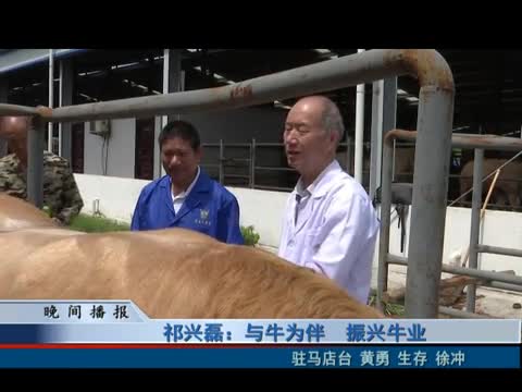 祁兴磊：与牛为伴 振兴牛业