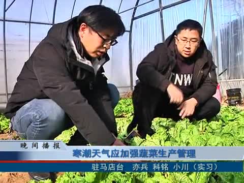 寒潮天气应加强蔬菜生产管理