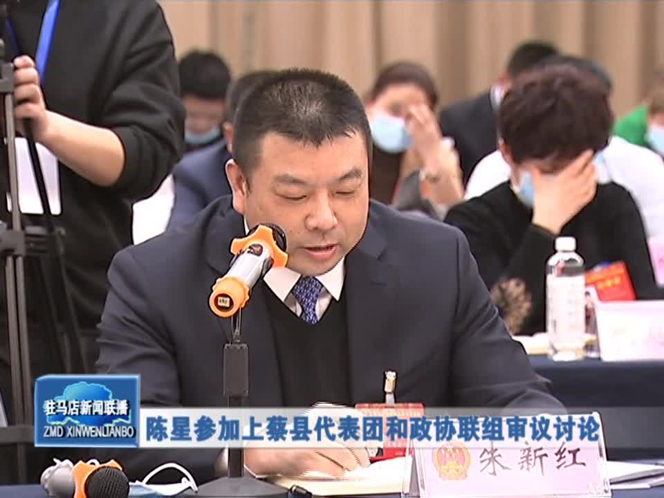 陈星参加上蔡县代表团和政协联组审议讨论