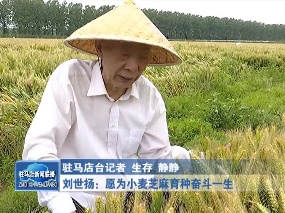 刘世扬：愿为小麦芝麻育种奋斗一生