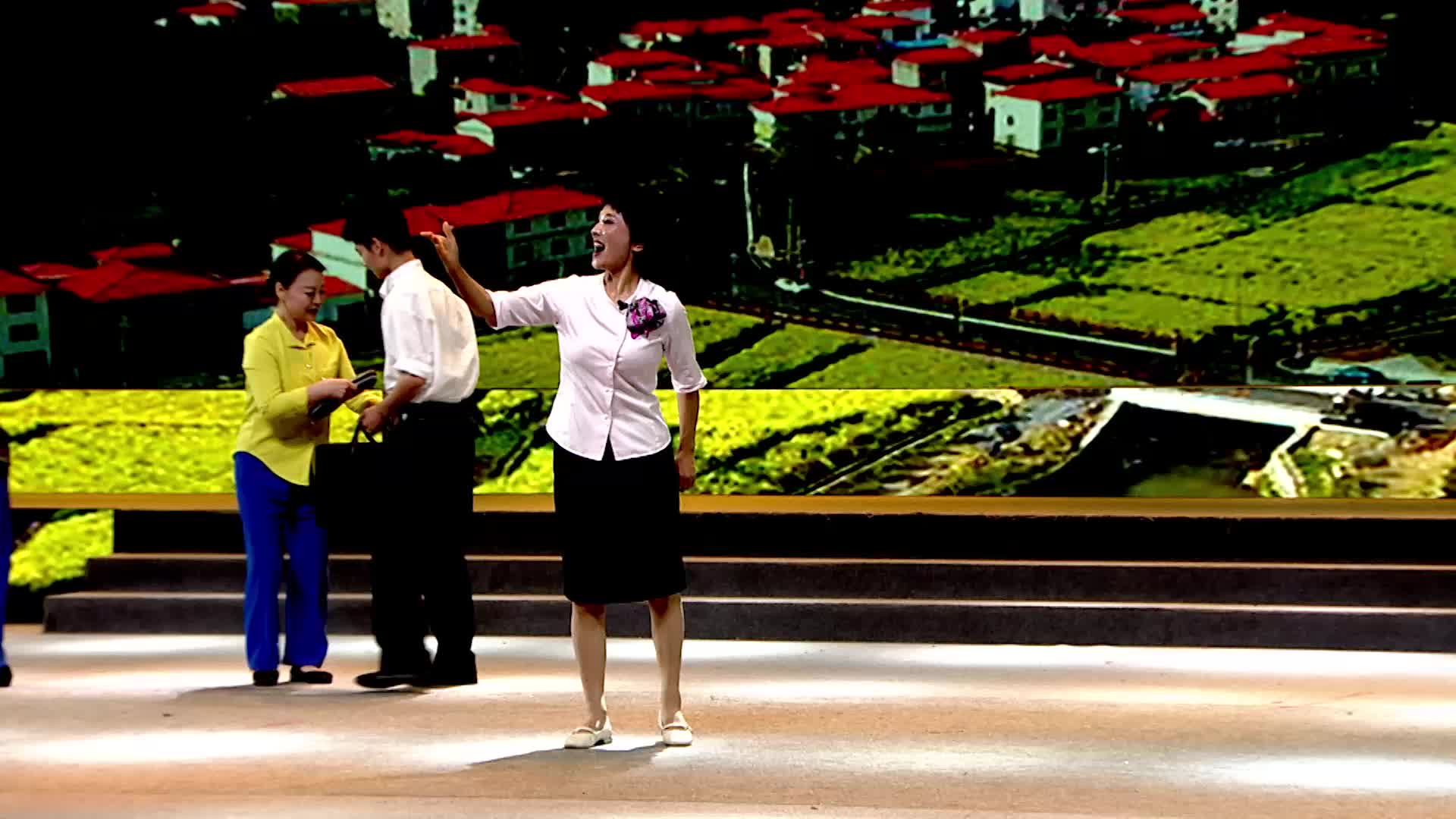 駐馬店市慶祝中國共產黨成立100周年文藝演出——歌舞劇《大娘的珍藏》