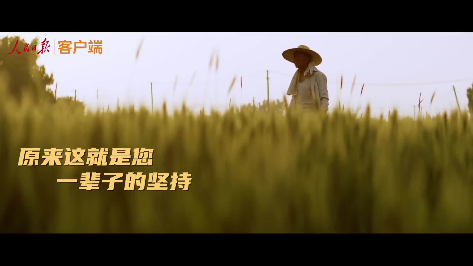 今又重阳，致敬老一辈奋斗者