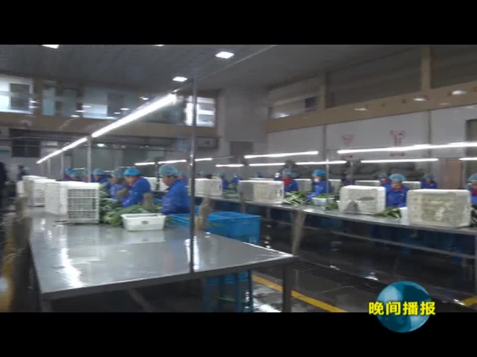 遂平县：产业发展助力乡村振兴