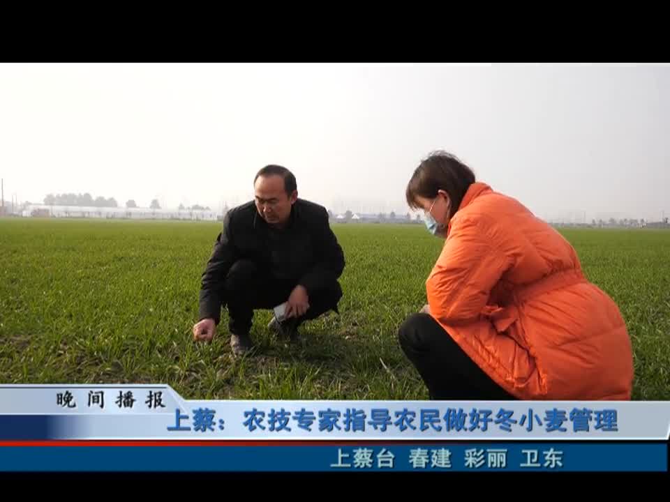 上蔡：农技专家指导农民做好冬小麦管理