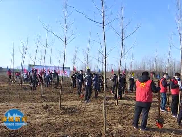 驛城區開展2021年冬季義務植樹活動
