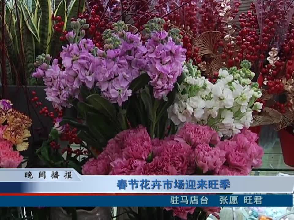 春节花卉市场迎来旺季