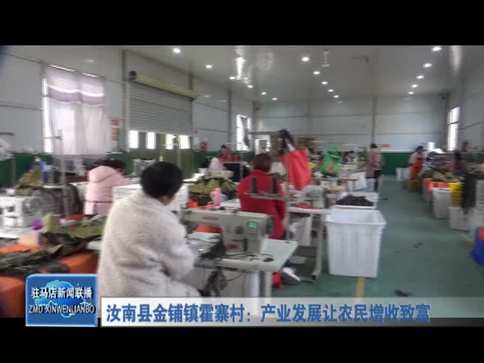 汝南县金铺镇霍寨村：产业发展让农民增收致富