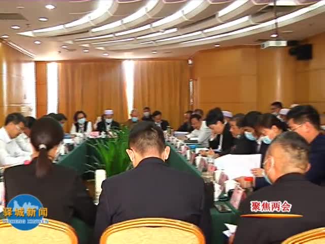 驿城区政协委员分组讨论《政府工作报告》