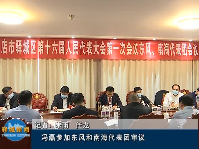 冯磊参加东风和南海代表团审议