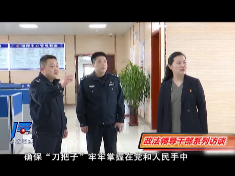 举旗帜 担使命 确保老区大平安——访确山县委常委政法委书记王霞