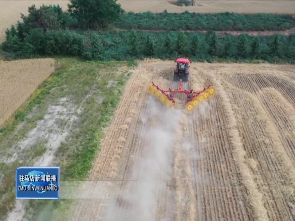 汝南：小麦正式开镰收割