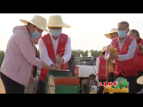 河南国家粮食产量调查实割实测现场观摩活动在汝南县举行