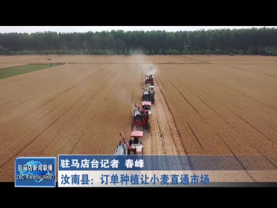 汝南县：订单种植让小麦直通市场