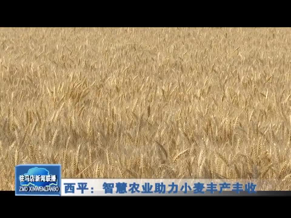 西平：智慧农业助力小麦丰产丰收