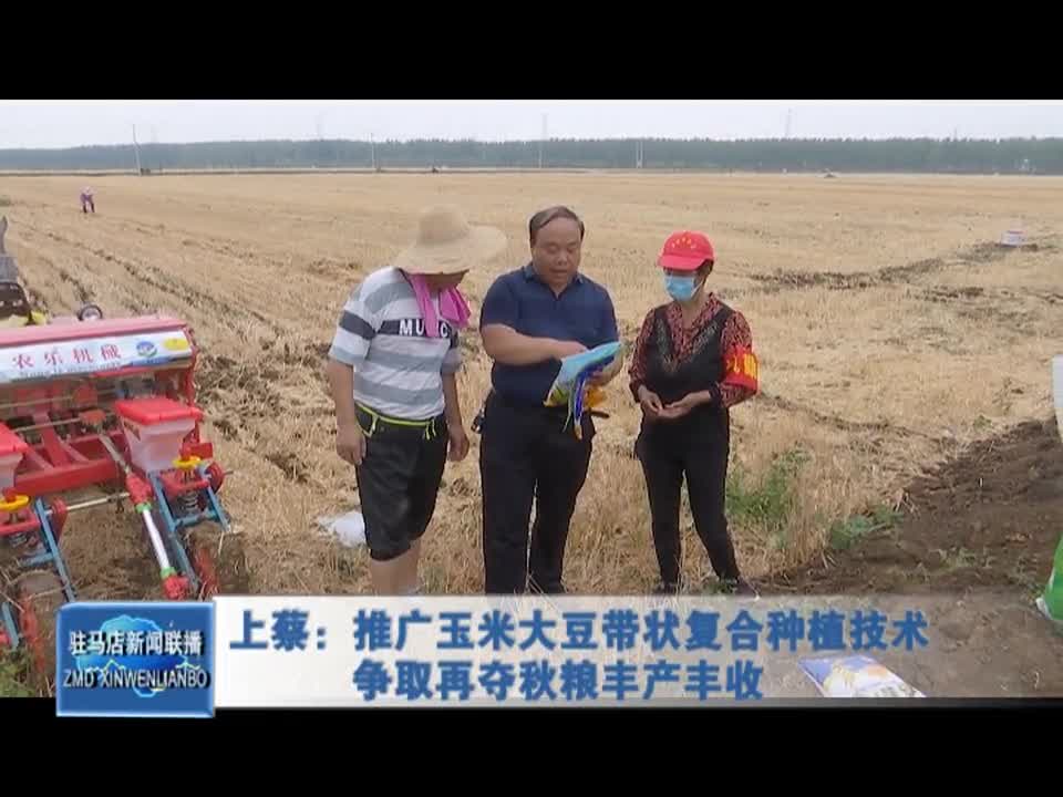 上蔡：推广玉米大豆带状复合种植技术 争取再夺秋粮丰产丰收