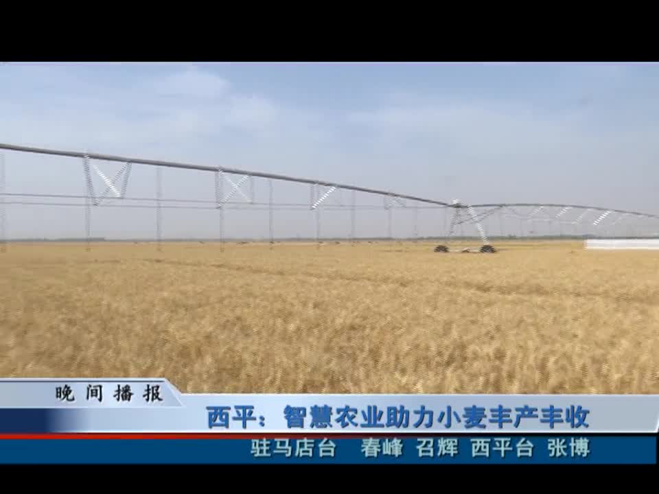 西平：智慧農業助力小麥豐產豐收