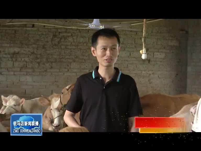 吴中阳：发展种羊繁殖产业 带动村民增收致富