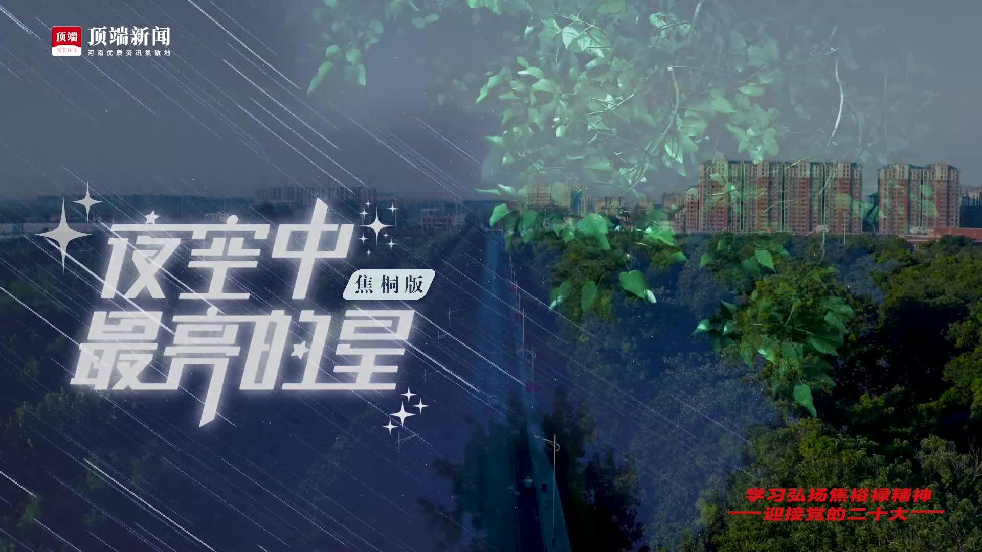 一开口就是思念！河南青年焦桐树下歌唱《夜空中最亮的星》