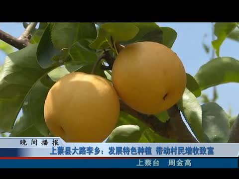 上蔡大路李鄉：發展特色種植 帶動村民增收致富