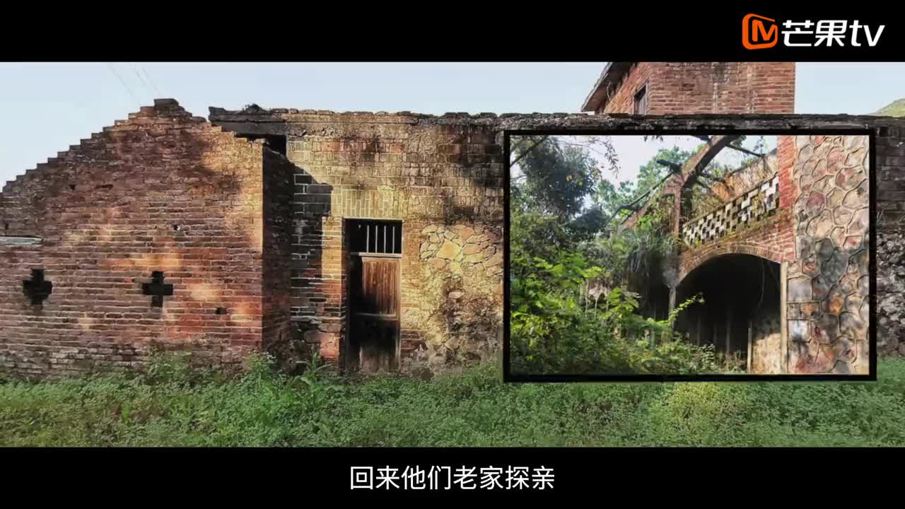 《這十年》微紀錄片 ——《詩畫鄉村的“造夢人”》周燕 第10集