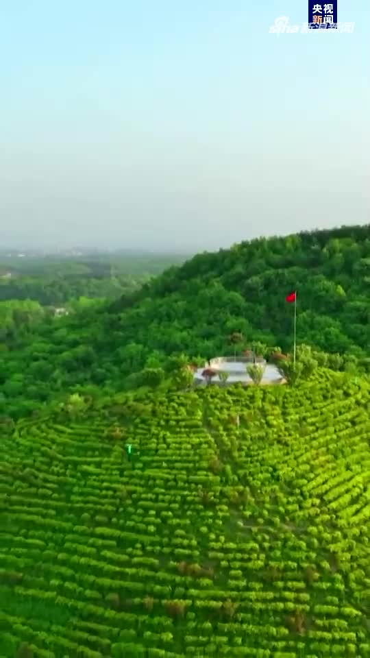 说说我们的新时代｜关于这十年，我想说……