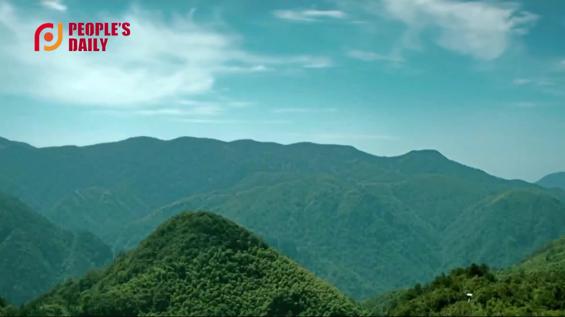 双语微纪录片 | 竹林里的“金山银山”