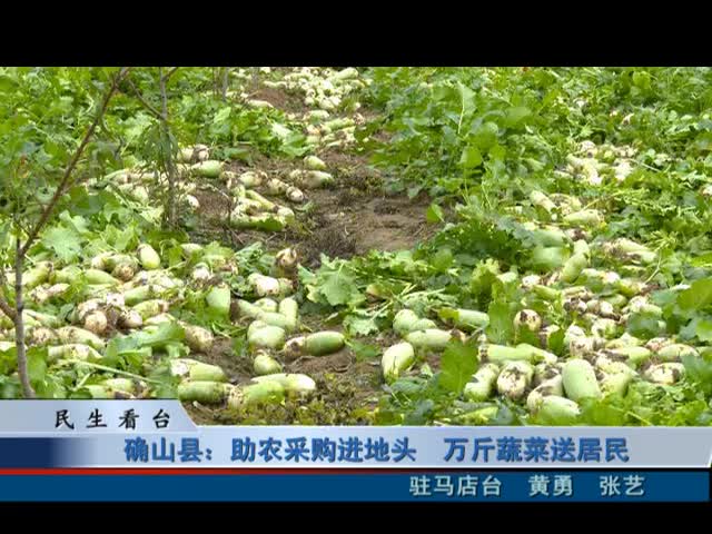 确山县：助农采购进地头 万斤蔬菜送居民