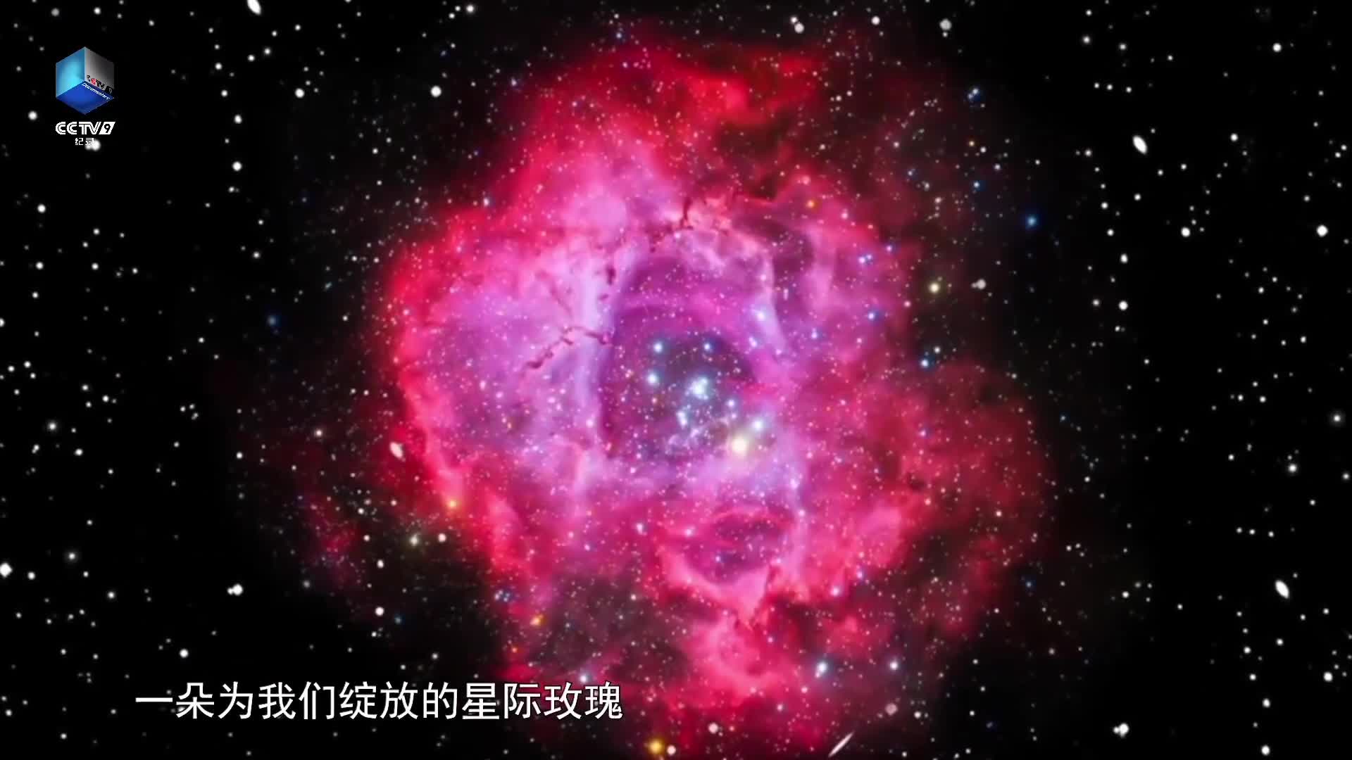 宇宙级浪漫！这朵星际玫瑰请查收
