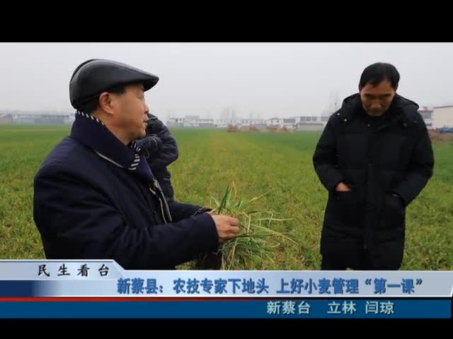 新蔡县：农技专家下地头 上好小麦管理“第一课”