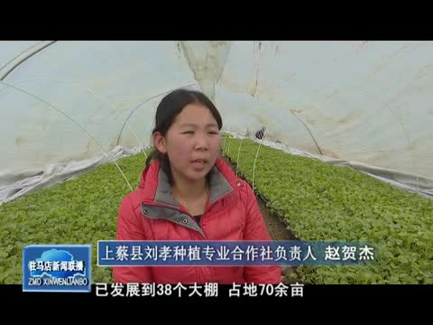 上蔡齐海：温棚种植富农家