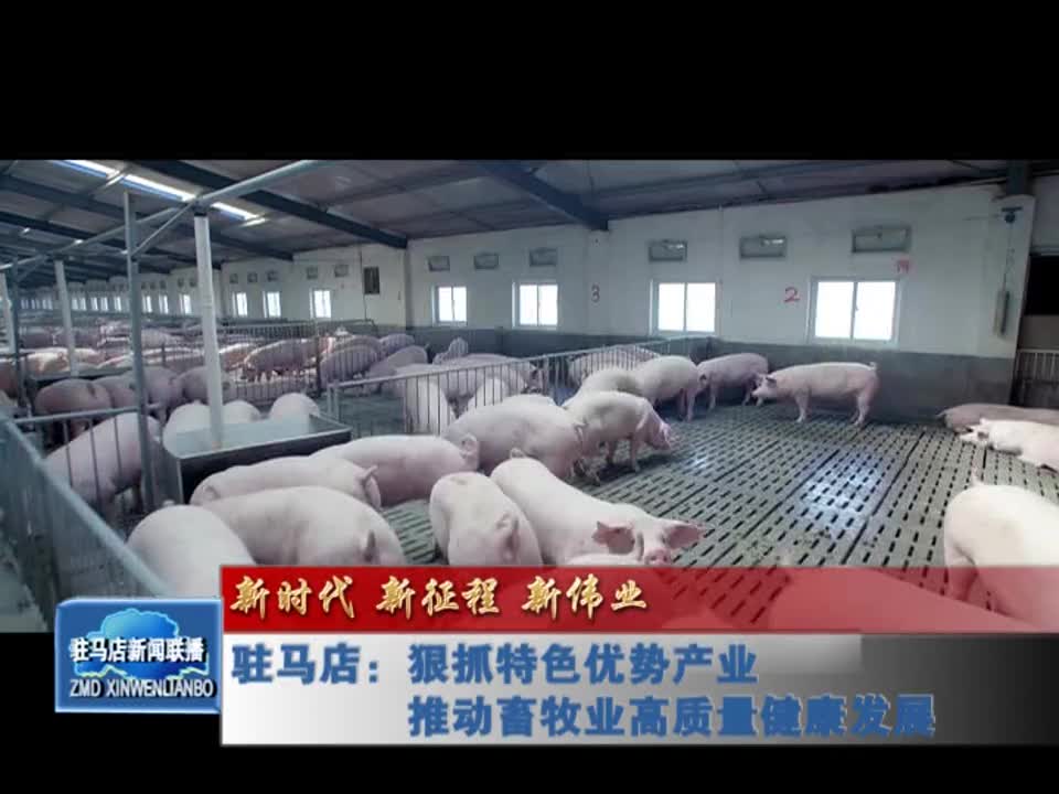 驻马店：狠抓特色优势产业 推动畜牧业高质量健康发展