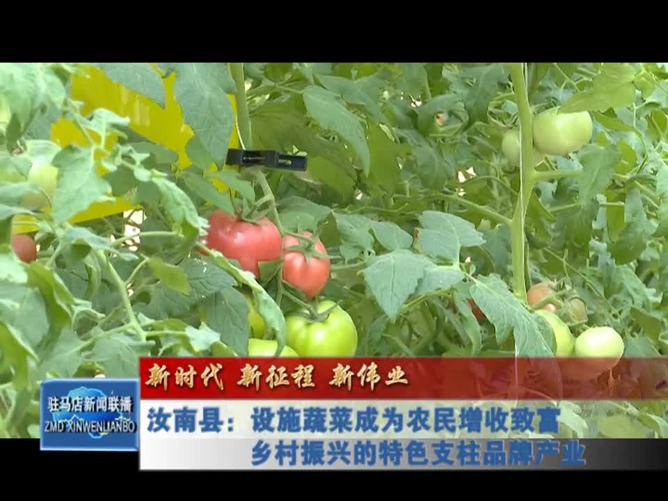 汝南县：设施蔬菜成为农民增收致富 乡村振兴的特色支柱品牌产业