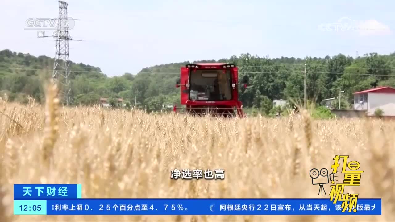 驻马店：1170万亩小麦陆续开镰收割