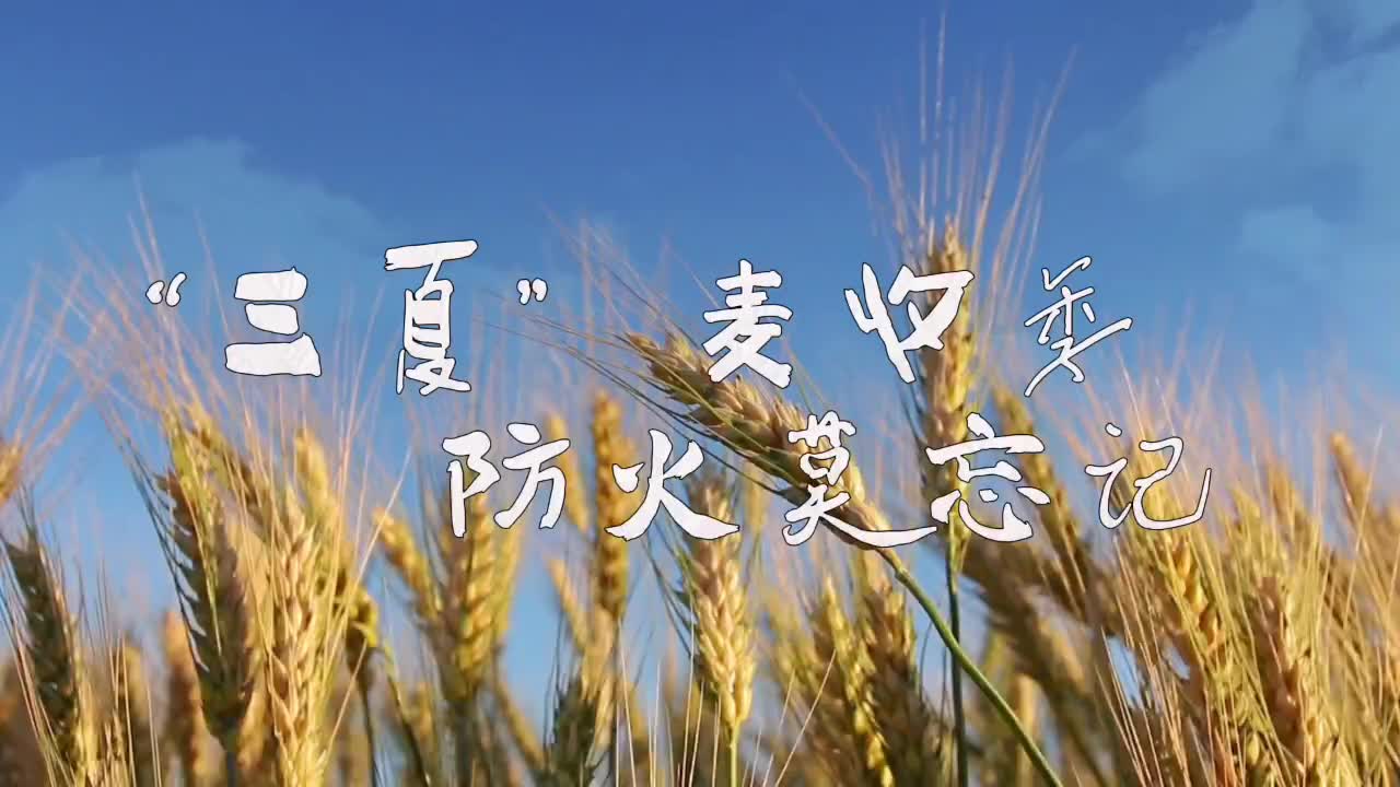 驻马店驿城区：“三夏”麦收季 防火莫忘记 