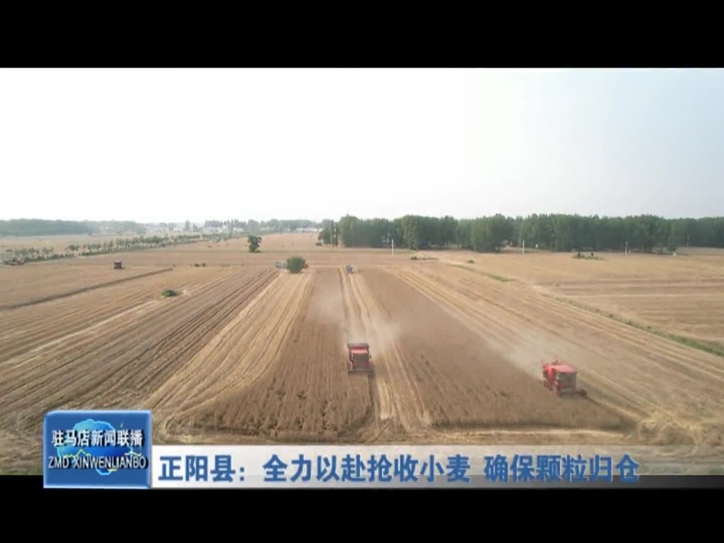 正阳县：全力以赴抢收小麦 确保颗粒归仓