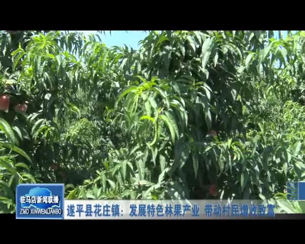 遂平县花庄镇:发展特色林果产业 带动村保增收致富