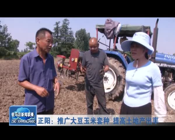 正阳:推广大豆玉米套种 提高土地产出率