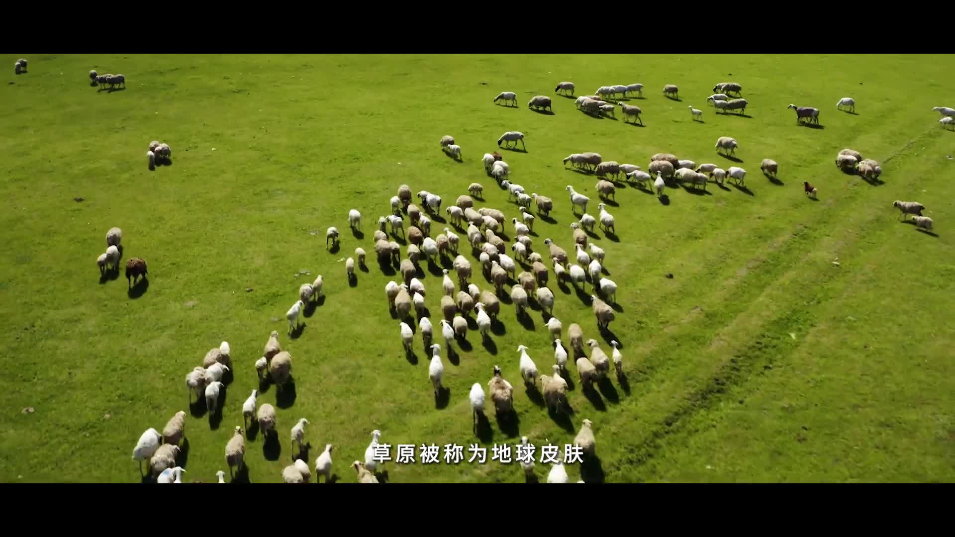 说“闻”解字·不负青山不负人