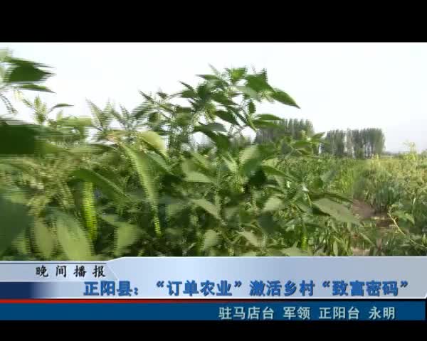正阳县:“订单农业”激活乡村“致富密码”