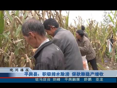 平舆县：积极排水除涝 保秋粮稳产增收