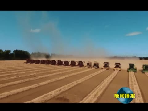驻马店市农科院：加快农业科技创新 助力小麦稳产增收