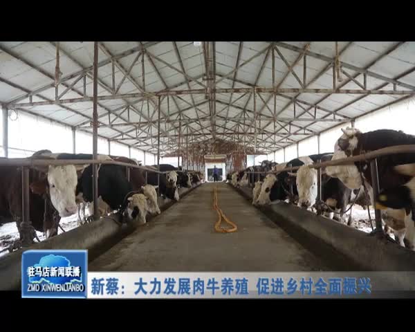 新蔡：大力发展肉牛养殖 促进乡村全面振兴
