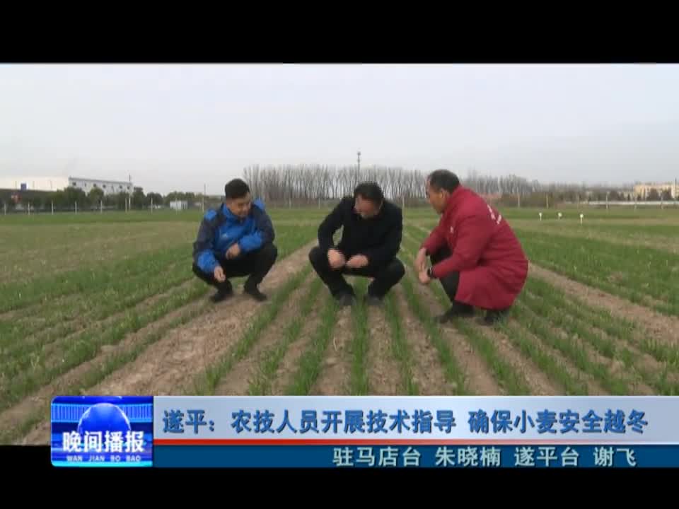 遂平：农技人员开展技术指导 确保小麦安全越冬