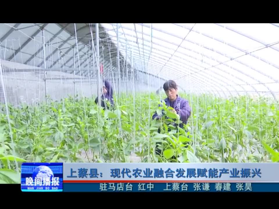 上蔡县：现代农业融合发展赋能产业振兴
