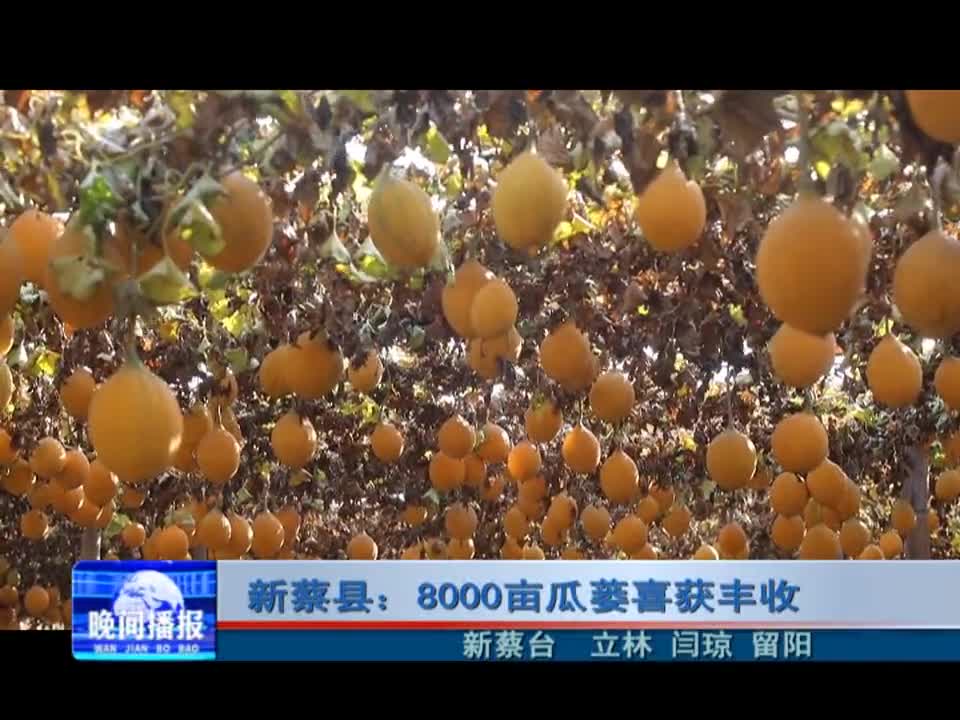 新蔡县：8000亩瓜蒌喜获丰收